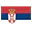 SR 플래그